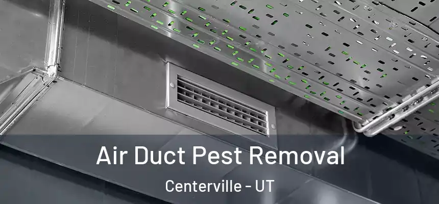  Air Duct Pest Removal Centerville - UT