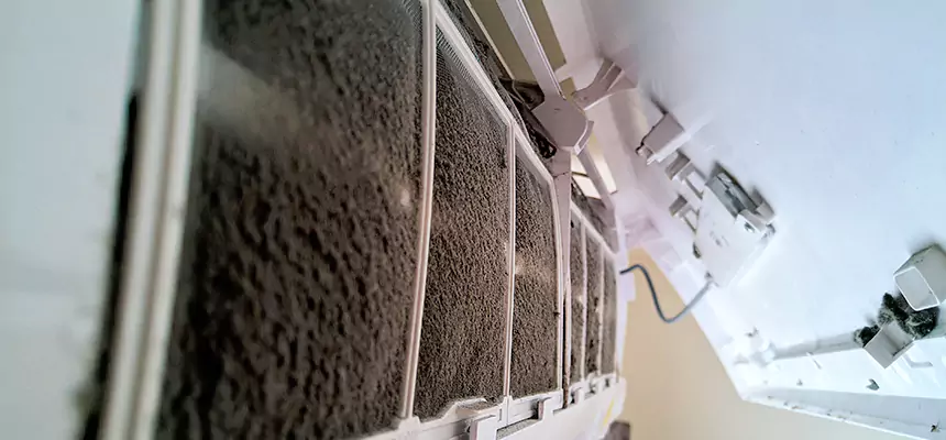 Preventive Air Duct Bacteria Removal in Centerville