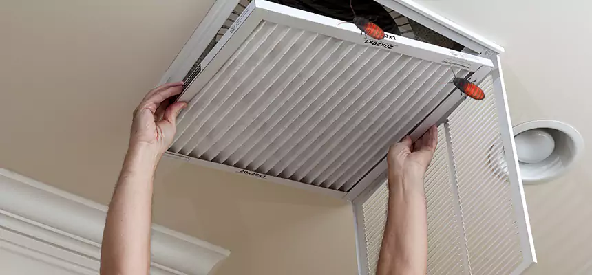 Preventive Cockroach-Proofing for Ducts in Centerville
