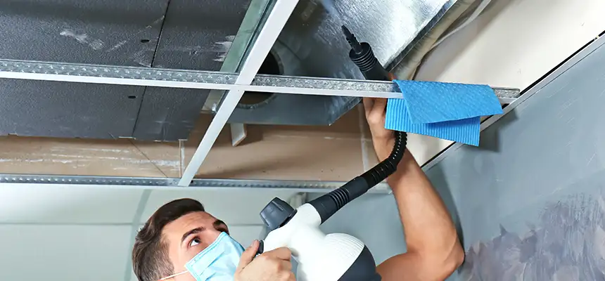 Our Air Duct Rodent Removal Services in Centerville, UT