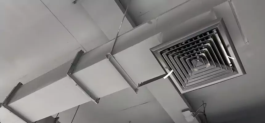 Our Rodent Droppings In Vents Services in Centerville, UT