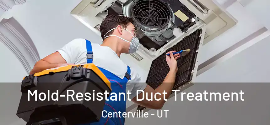  Mold-Resistant Duct Treatment Centerville - UT