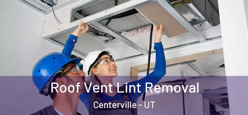  Roof Vent Lint Removal Centerville - UT