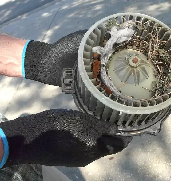 About Air Duct Rat Removal in Centerville, UT