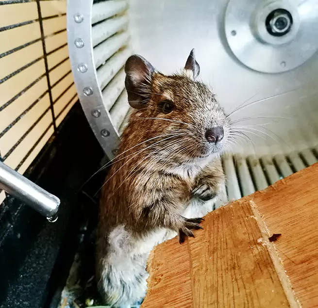 Why Homeowners & Businesses Trust Us Centerville, UT