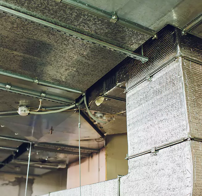 Why Homeowners & Businesses Trust Us in Centerville, UT?